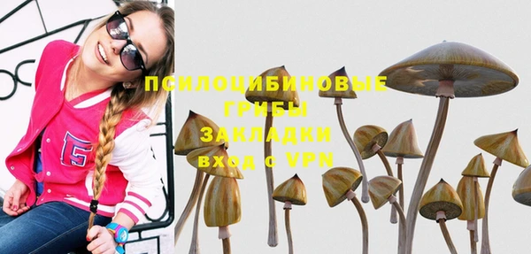гашишное масло Аркадак