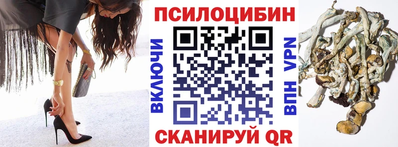 Галлюциногенные грибы GOLDEN TEACHER  Купить  Медынь 
